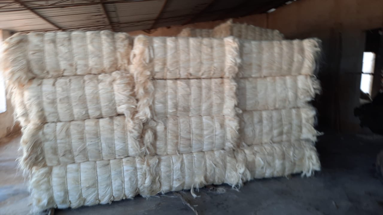 Sisal Fibre Nigeria